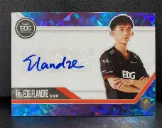 NS力克Astralis，Flandre惊艳世界的简单介绍